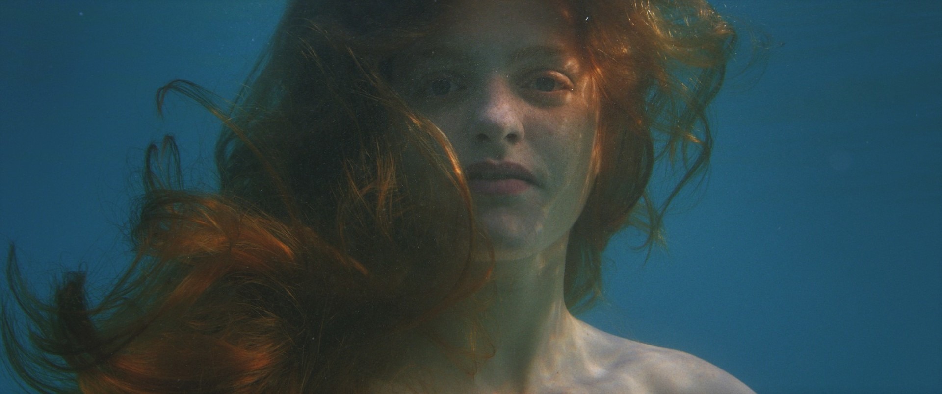 Photo 4 Dolphin Still4