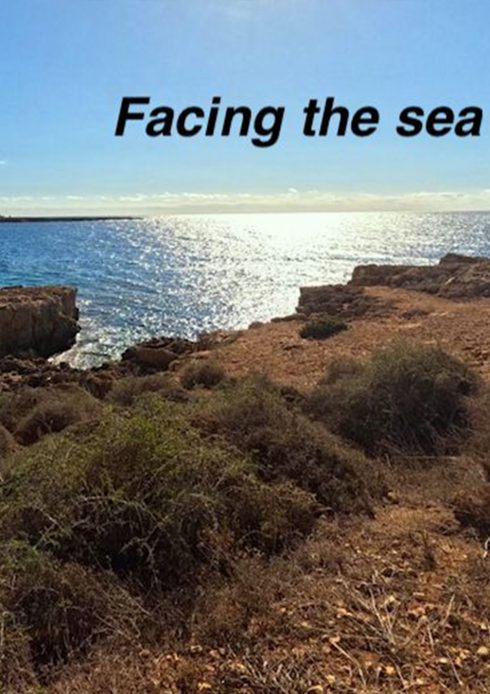facing the sea poster