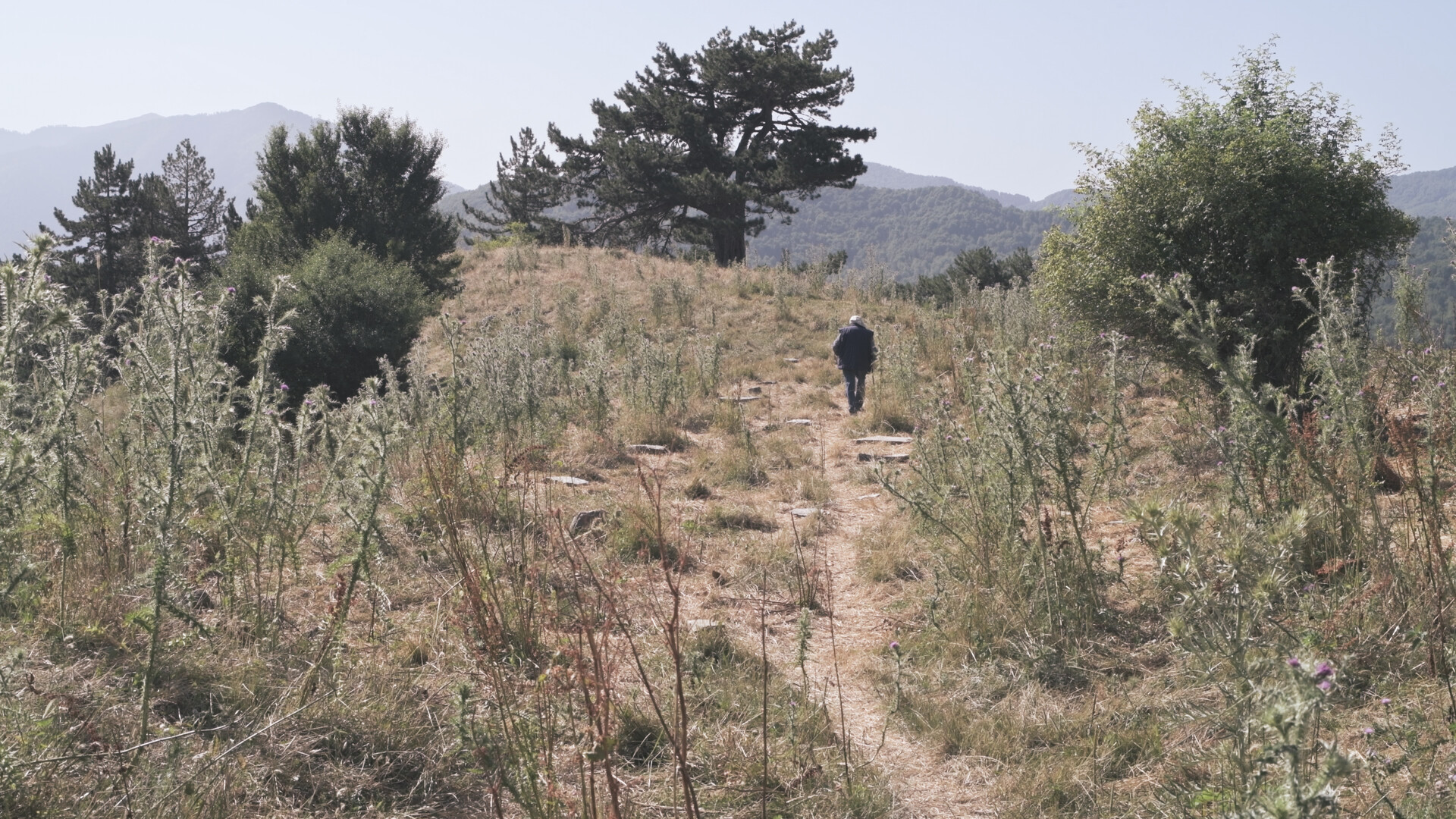 Photo 4 TheLastNomad Still 03